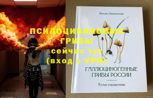 СК Алексеевка