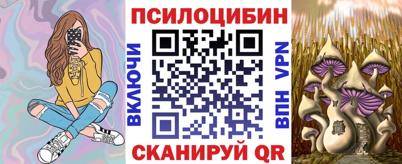 Псилоцибиновые грибы Psilocybine cubensis  Темников 